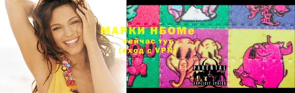 стаф Новокубанск