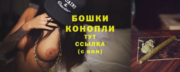 соль ск Балахна