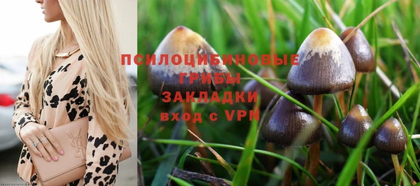 мет Баксан